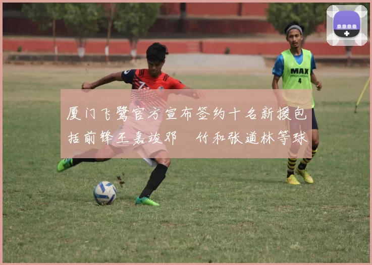 厦门飞鹭官方宣布签约十名新援包括前锋王嘉竣邓棽竹和张道林等球员