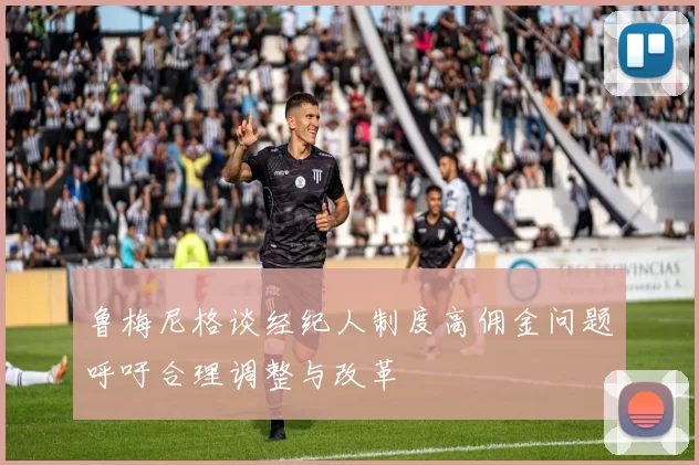 鲁梅尼格谈经纪人制度高佣金问题呼吁合理调整与改革